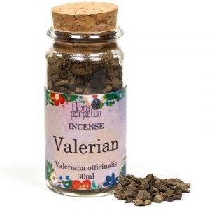 Hierba de incienso verdadera Valeriana