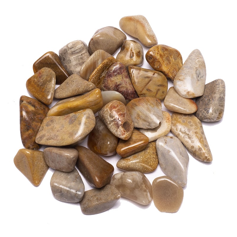 Piedras de Ágata Coralina Calidad AA (± 250 gramos - ± 2-3 cm)