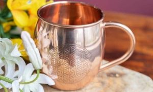 Vaso de Cobre
