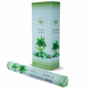 Incienso Green Tree Salvia (6 paquetes)