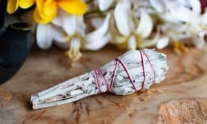 Smudge Sticks