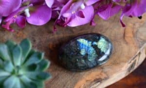 Piedras de Palma