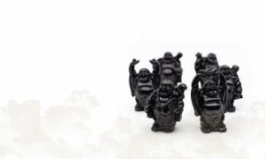 Buda Mini