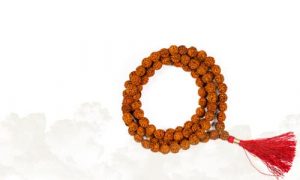 Malas Rudraksha