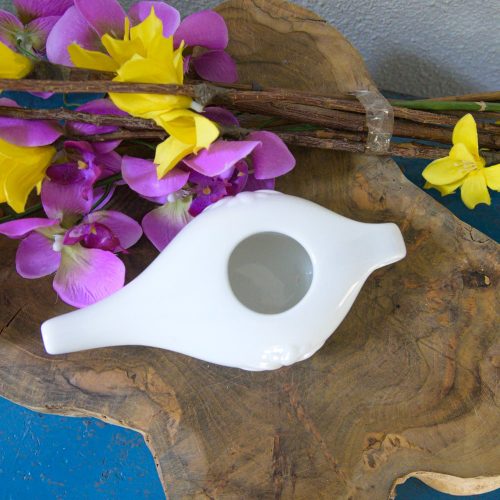 Jala Neti: Beneficios del lavado nasal
