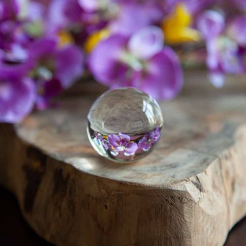 Bola de Cristal para Fotografía: Creatividad con la Cámara