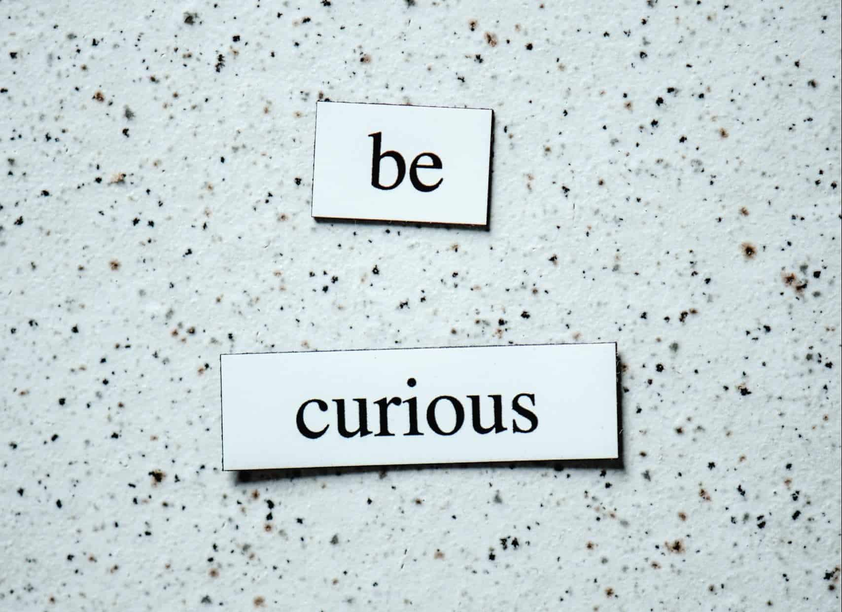 be curious blog elementos signos zodiacales