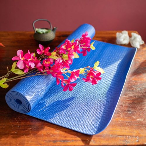 Cómo elegir: Esterilla de Yoga – En qué Fijarse a la Hora de Comprar